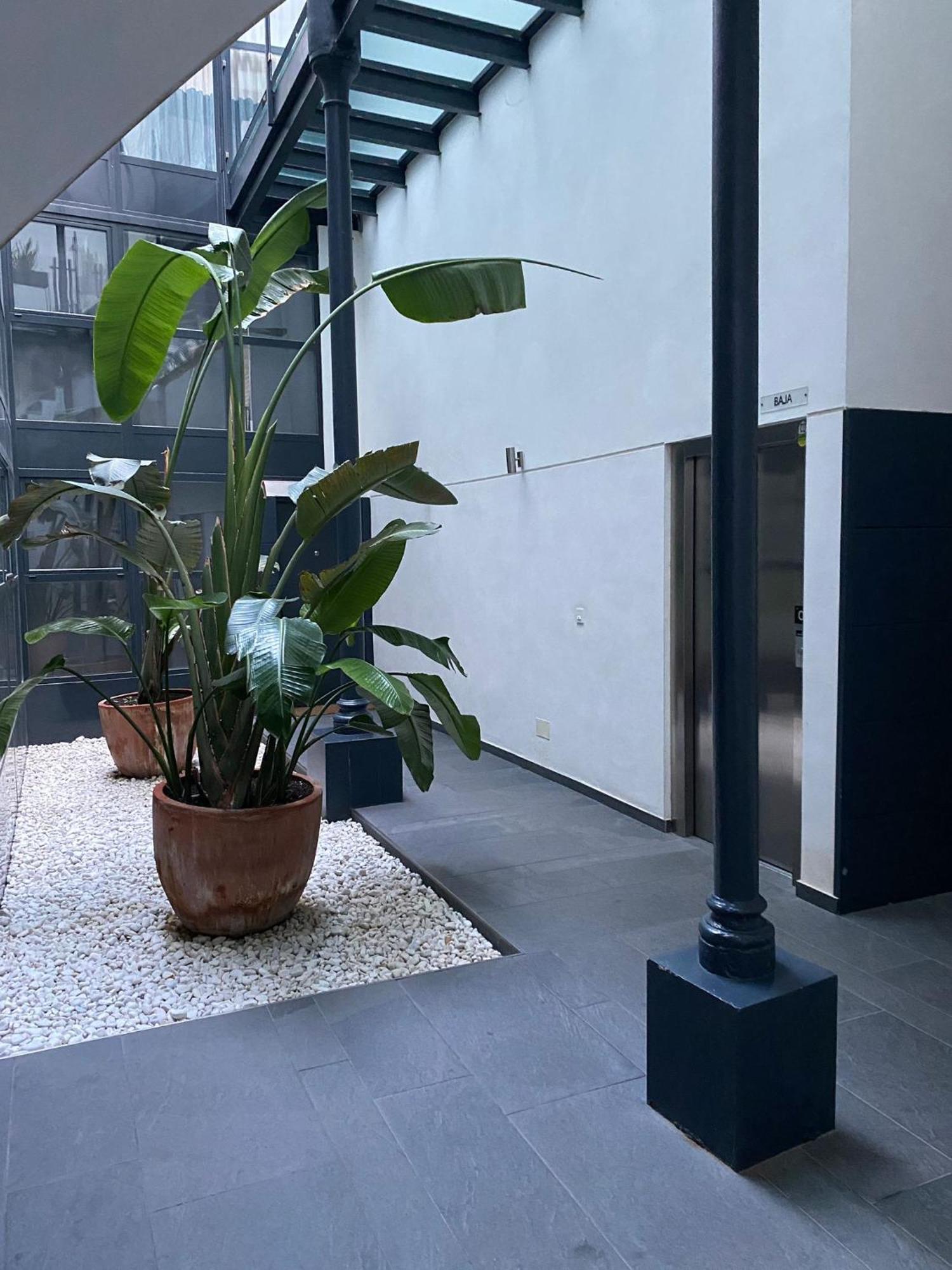 Moderno Duplex Sevillano Dış mekan fotoğraf